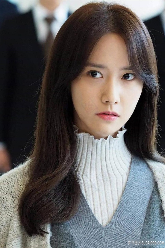 公交车系列合集