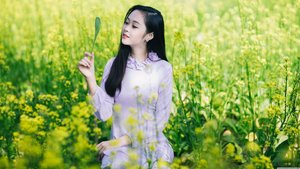 武状元苏乞儿电影