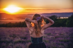 在人间电视剧免费观看全集完整版