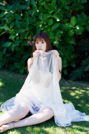 老司机网站在线观看