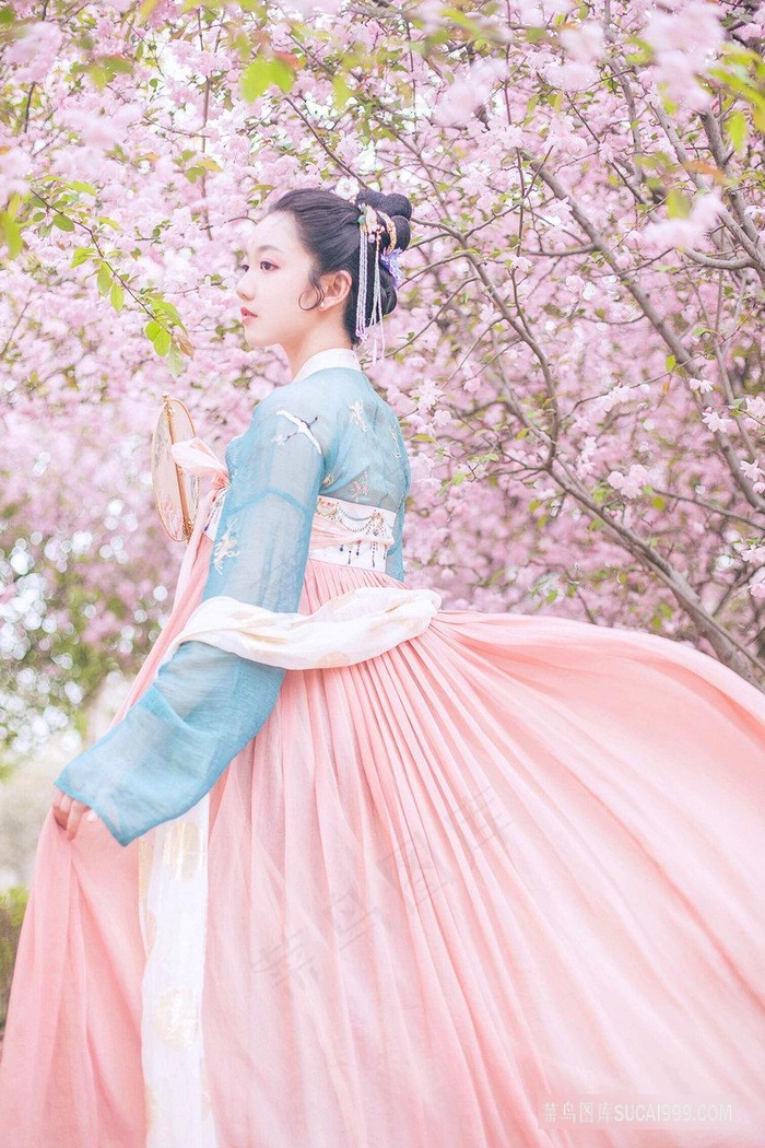 理论动漫动画片